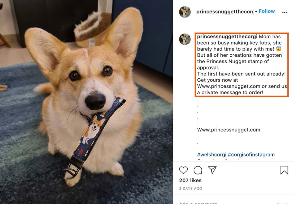 Voorbeeld van een eigen product promoten om geld te verdienen met Instagram. In dit voorbeeld verdient princessnugget via haar niche instagram pagina geld met print on demand producten aan te bieden